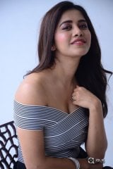 Nabha Natesh New Photos